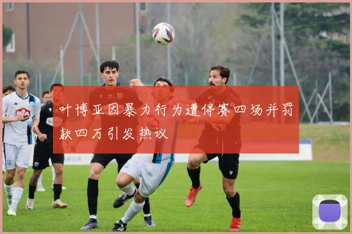 叶博亚因暴力行为遭停赛四场并罚款四万引发热议